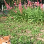 死を恐れなくなる方法