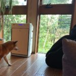 東京から人がいなくなる予言