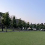 自分の前世を知る方法と前世の数について