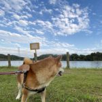 相手の心が読める人（ＨＳＰとエンパス）