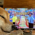 宇宙人の生まれ変わりの人の話②