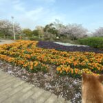 陰謀論は本当か嘘かじっくりと考えてみた