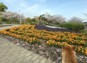 陰謀論は本当か嘘かじっくりと考えてみた