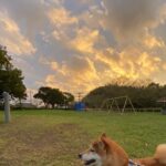 なんと現代はヒトラーの予言通りに進んでいた件