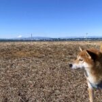 「人生に楽しいことなどない」by 銀シャリ橋本氏