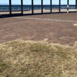 コ●ナで世界線が変わり異なるパラレルワールドに突入