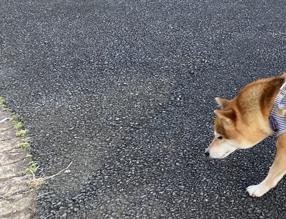 話の長いやつ