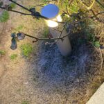 なぜマスクに大反対する大人がいるのか？