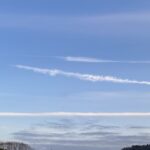 「バヌアツの法則」真相を専門家に聞いた