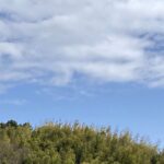 それ、バカ男を引っかけるエロバイトです