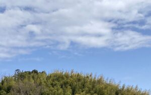 それ、バカ男を引っかけるエロバイトです