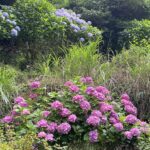 活字は誤解を生む