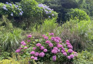 活字は誤解を生む