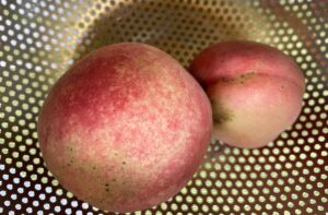 シンクロニシティと不穏体感による悪い予知