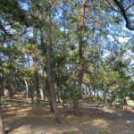 科学的裏付けのない霊能力は地上波で放送できないのです！