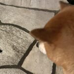 究極の現実逃避は創作、現実を作り出すことである