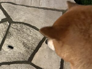 究極の現実逃避は創作、現実を作り出すことである