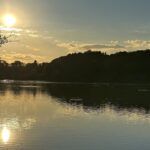 最近の夢見と、夢が現実化した話