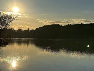 最近の夢見と、夢が現実化した話