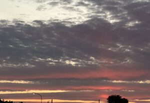 人には精神状態の上げ下げのサイクルってあるんですよ