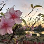 【日月神示】五度の岩戸閉めを歴史的に考察してみた