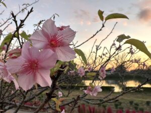 【日月神示】五度の岩戸閉めを歴史的に考察してみた