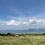 あなたのタイムライン（世界線）を変える「旅行」の不思議な効果とは？