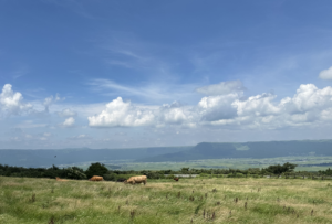 あなたのタイムライン（世界線）を変える「旅行」の不思議な効果とは？